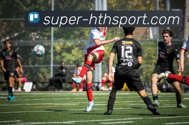 hth体育发展历程